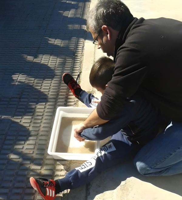 figura