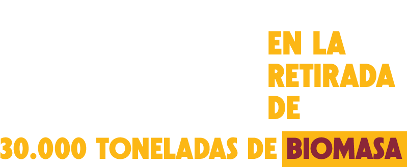 Hemos destinado 15 millones de euros en la retirada de 30.000 toneladas de biomasa