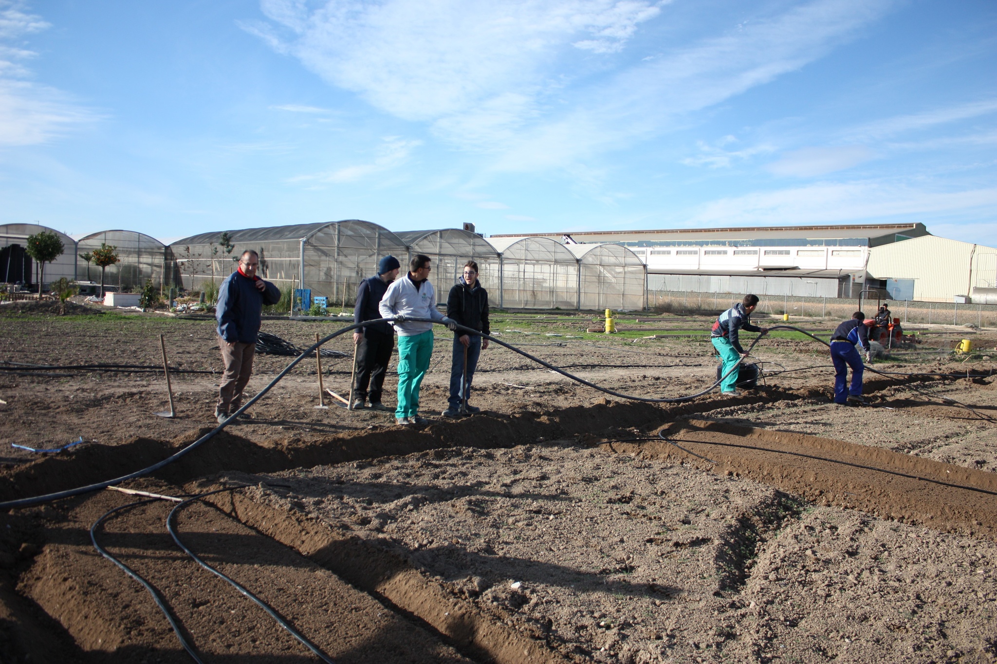 Aspecto de la instalación de riego para la plantación de almendros