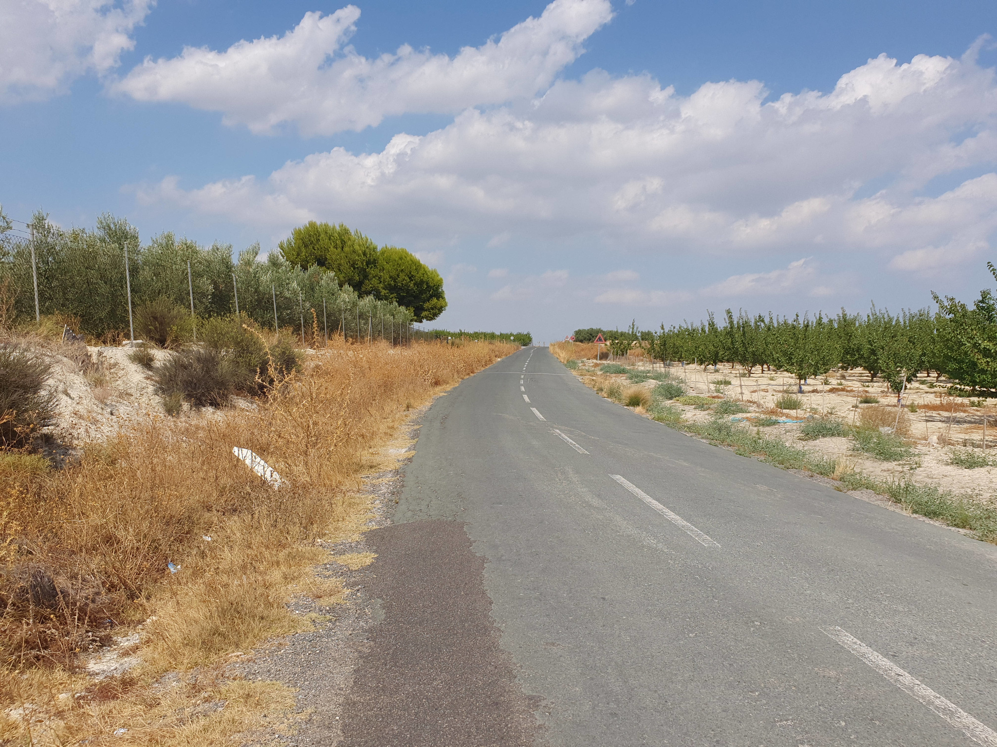 Imagen reciente de la carretera regional RM-531, que une Campos del Río y Alguazas