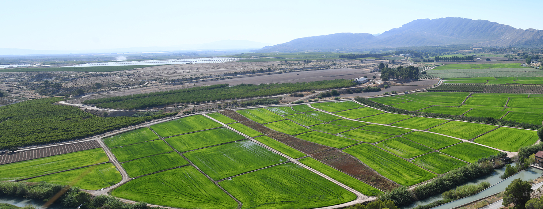Cultivos de arroz en Calasparra incluidos dentro del proyecto de monitorización de ayudas de la Política Agraria Común
