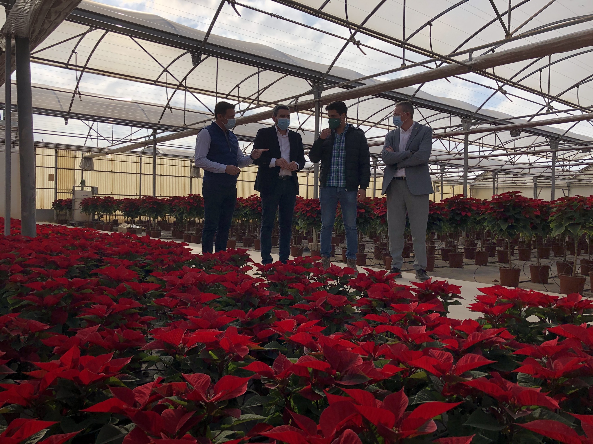 El consejero de Agricultura, Antonio Luengo, durante su visita a un vivero de flores de Pascua