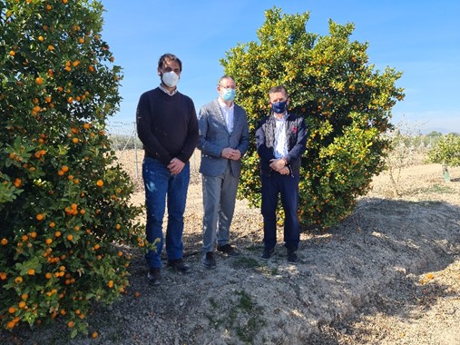 El Director General visita las instalaciones del CIFEA de Molina de Segura y conoce las actividades formativas y proyectos que se están desarrollando en la actualidad