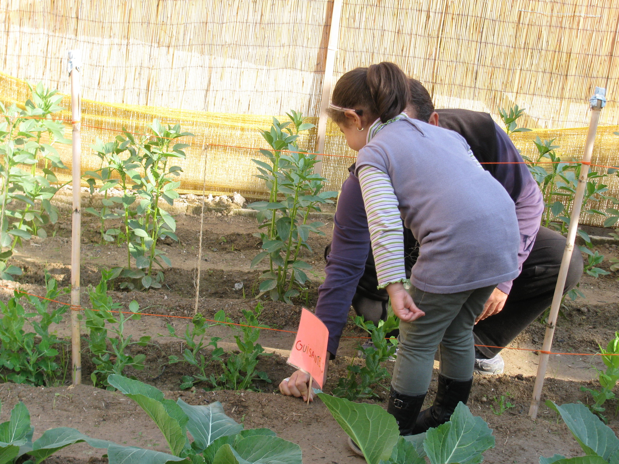 Imagen de una alumna en un huerto escolar ecológico.