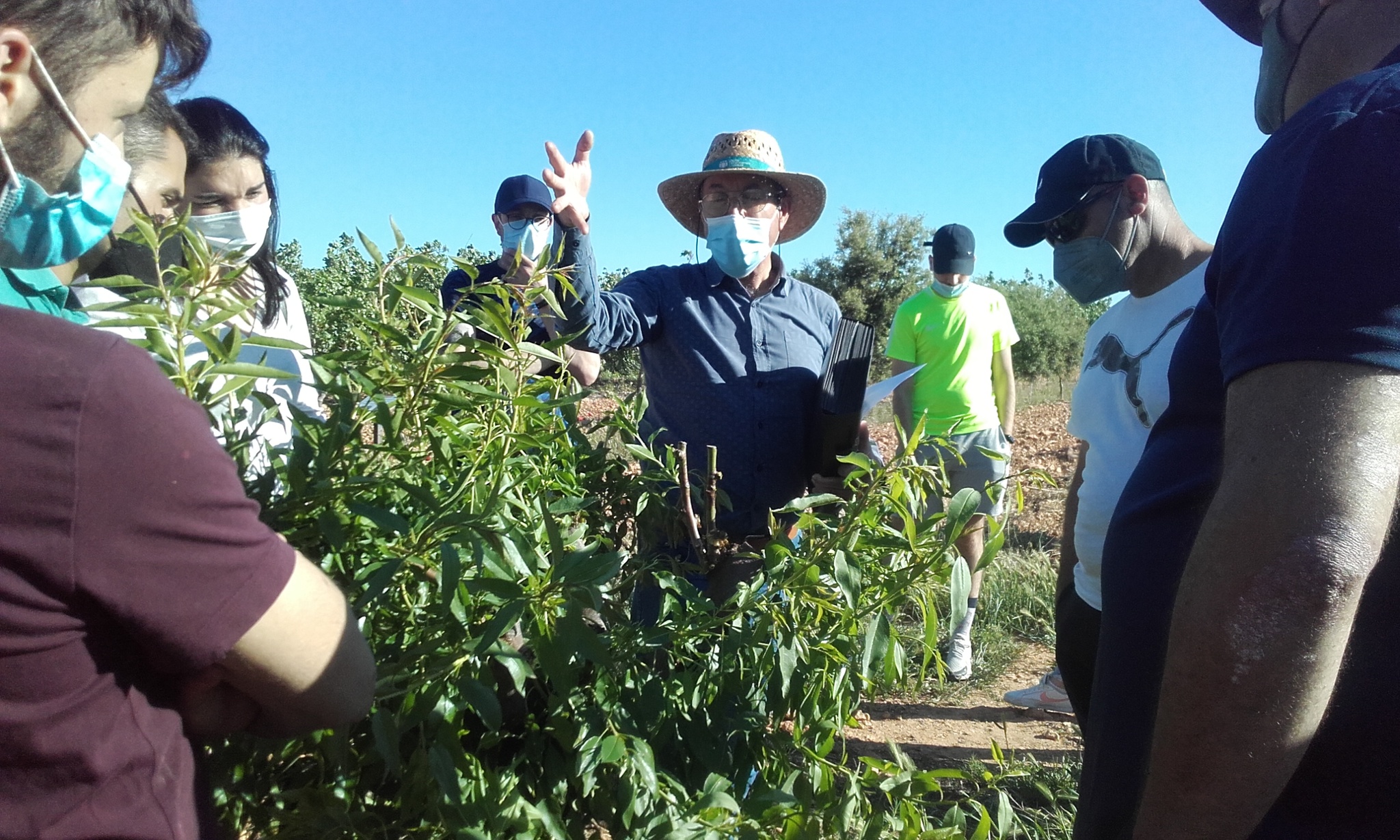 Prácticas del alumnado del Curso de material vegetal y técnicas de cultivo: fruticultura, viticultura, cereales y plantas aromáticas' , organizado por el CIFEA de Jumilla