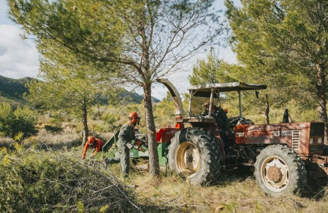 Trabajadores de la Comunidad realizan tareas de limpieza de montes en Calasparra