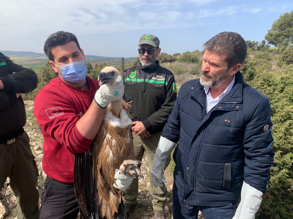 El director general del Medio Natural, durante la liberación de un buitre leonado tras su tratamiento en el Centro de Recuperación de Fauna