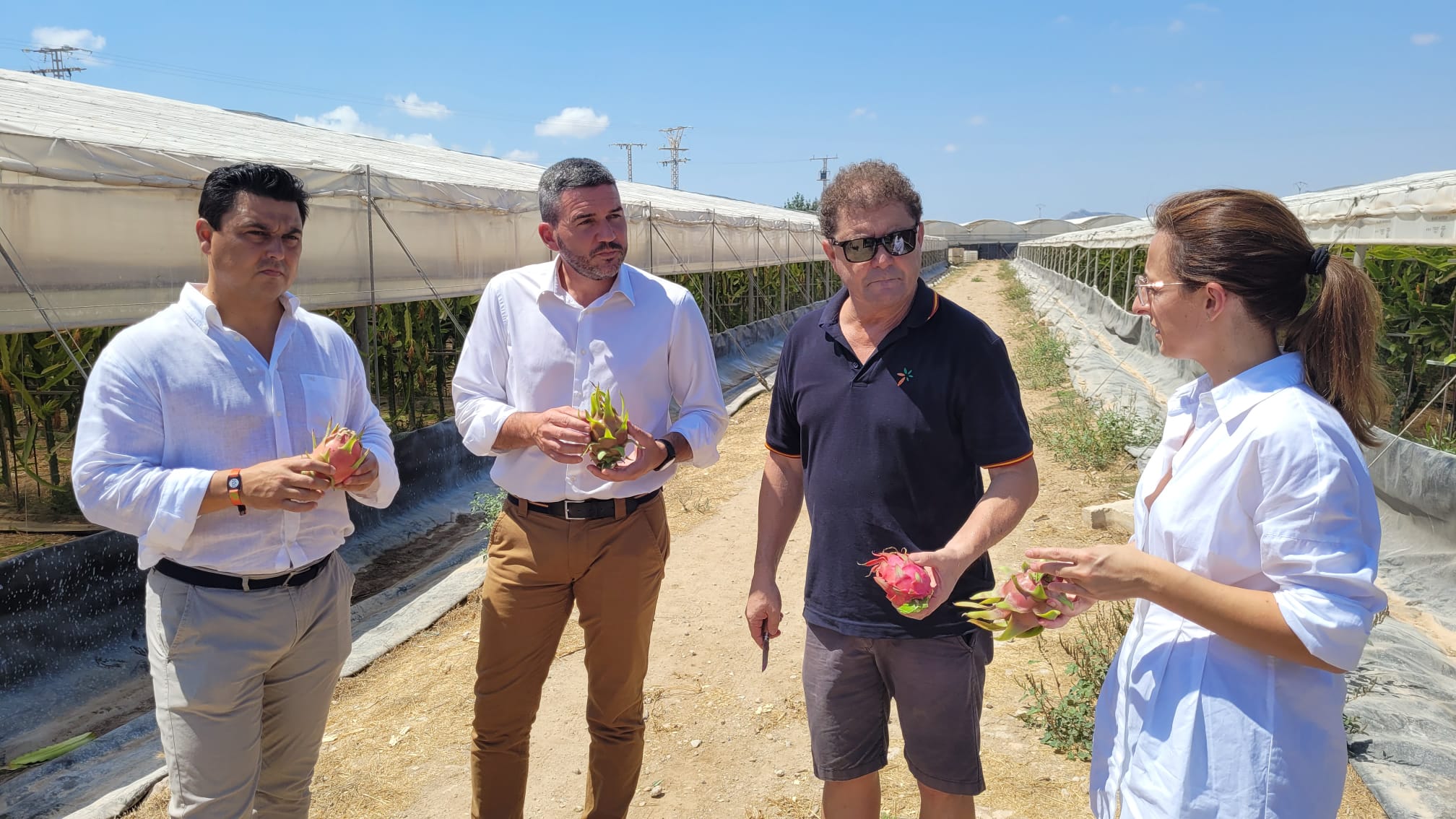 El consejero Antonio Luengo durante la visita a un cultivo de producción de pitaya en San Javier