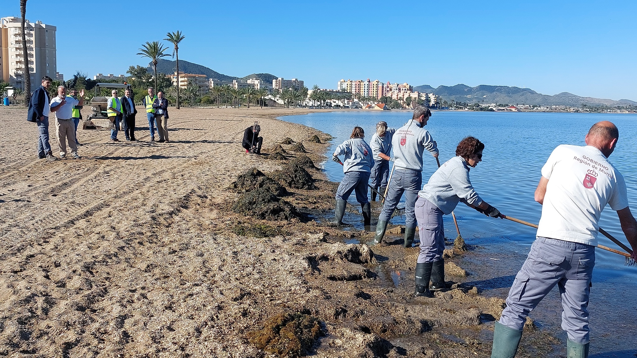 El consejero de Medio Ambiente, Mar Menor, Universidades e Investigación, Juan María Vázquez, durante su visita los trabajos de retirada de biomasa en el Mar Menor.