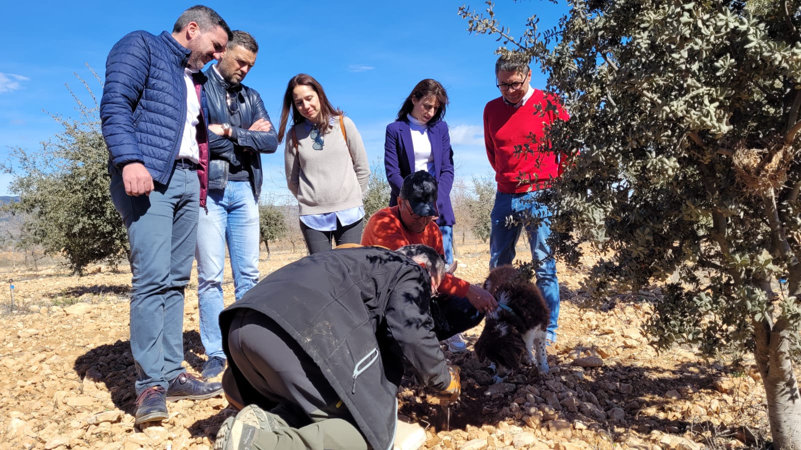 El consejero Antonio Luengo y el alcalde de Caravaca, José Francisco García, durante la visita a la finca experimental donde se cultiva la trufa negra