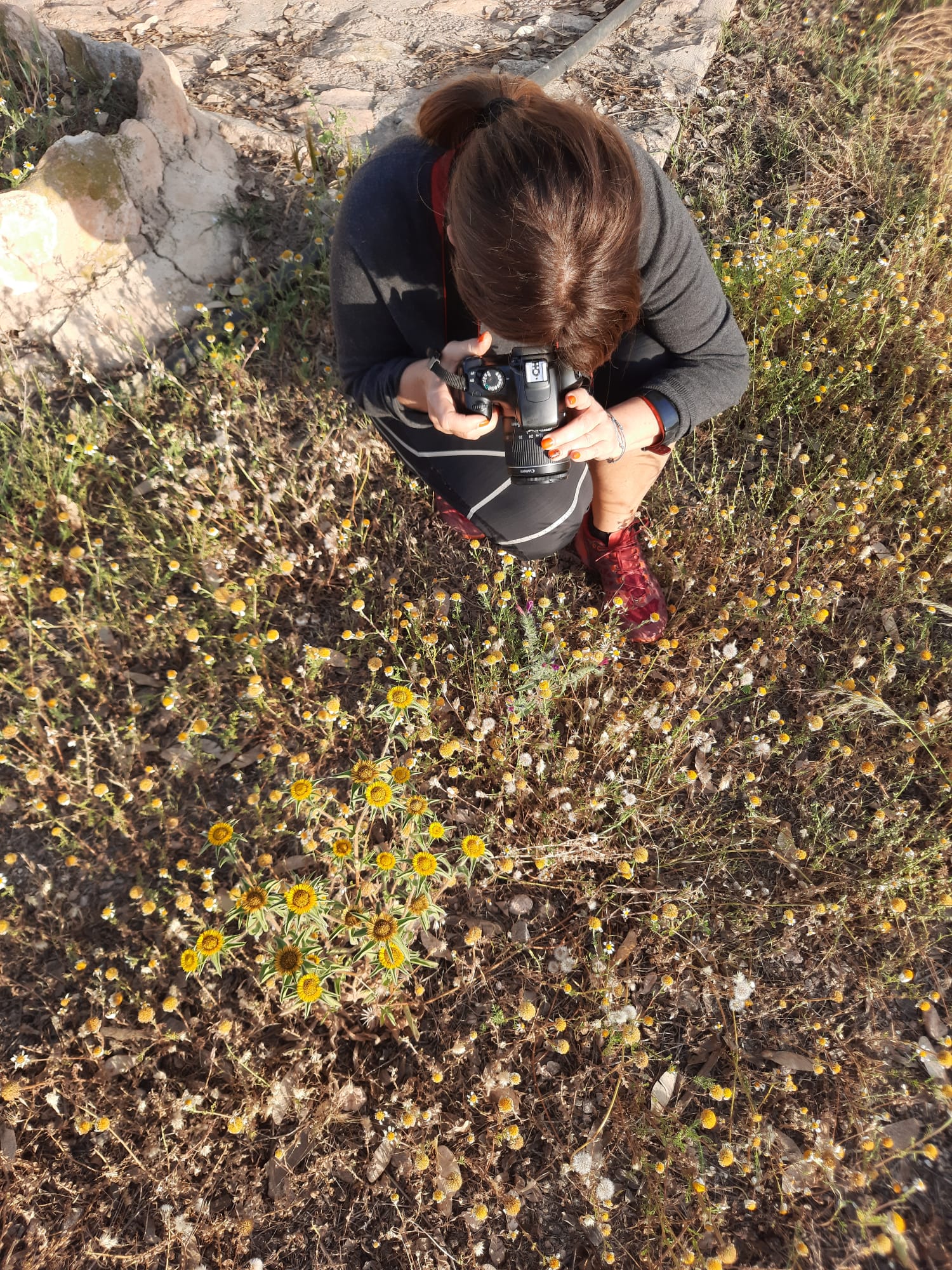 La Región de Murcia participa en el III Biomaratón de Flora Española