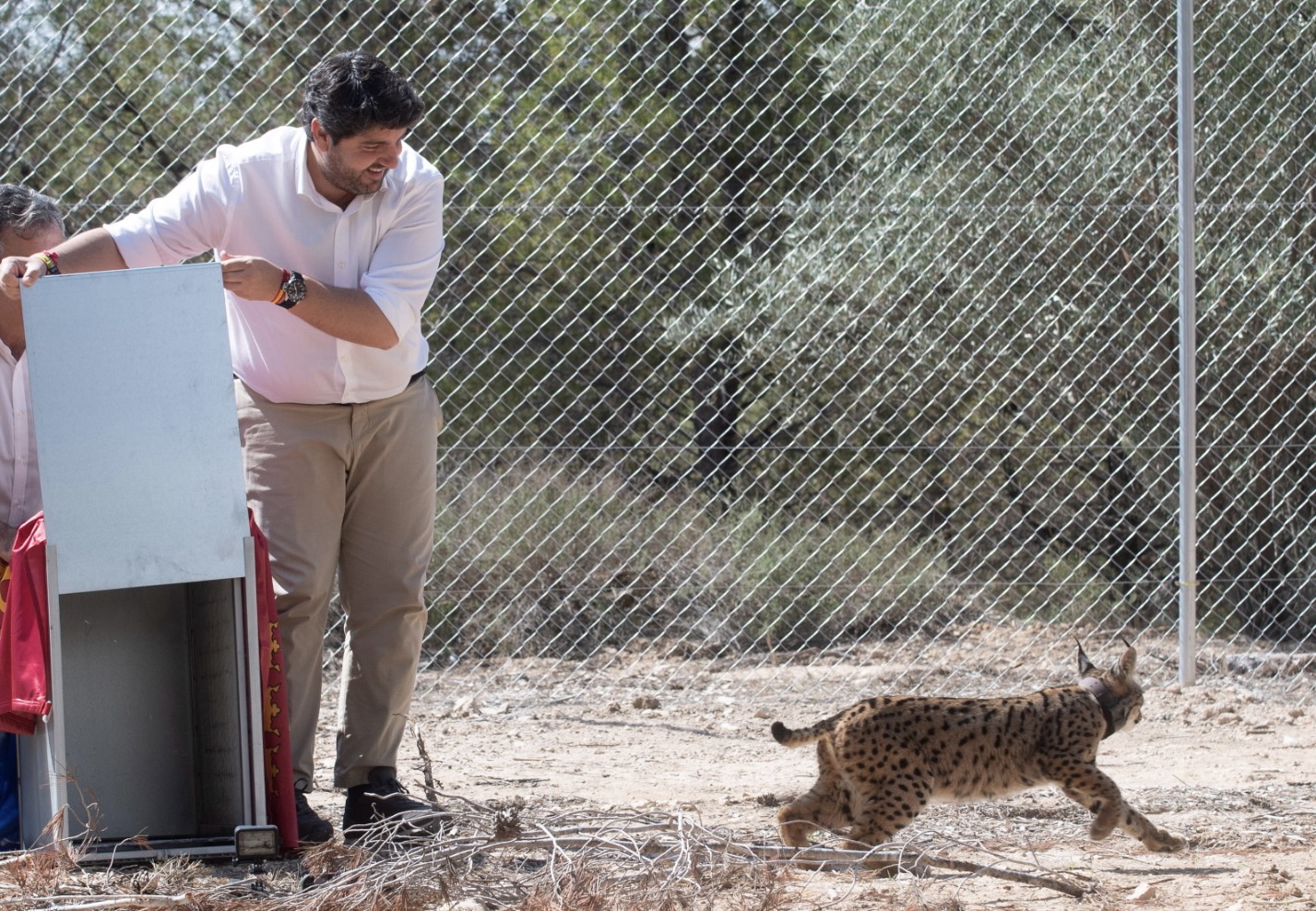 López Miras, durante la suelta de nuevos ejemplares de lince ibérico en las Tierras Altas de Lorca