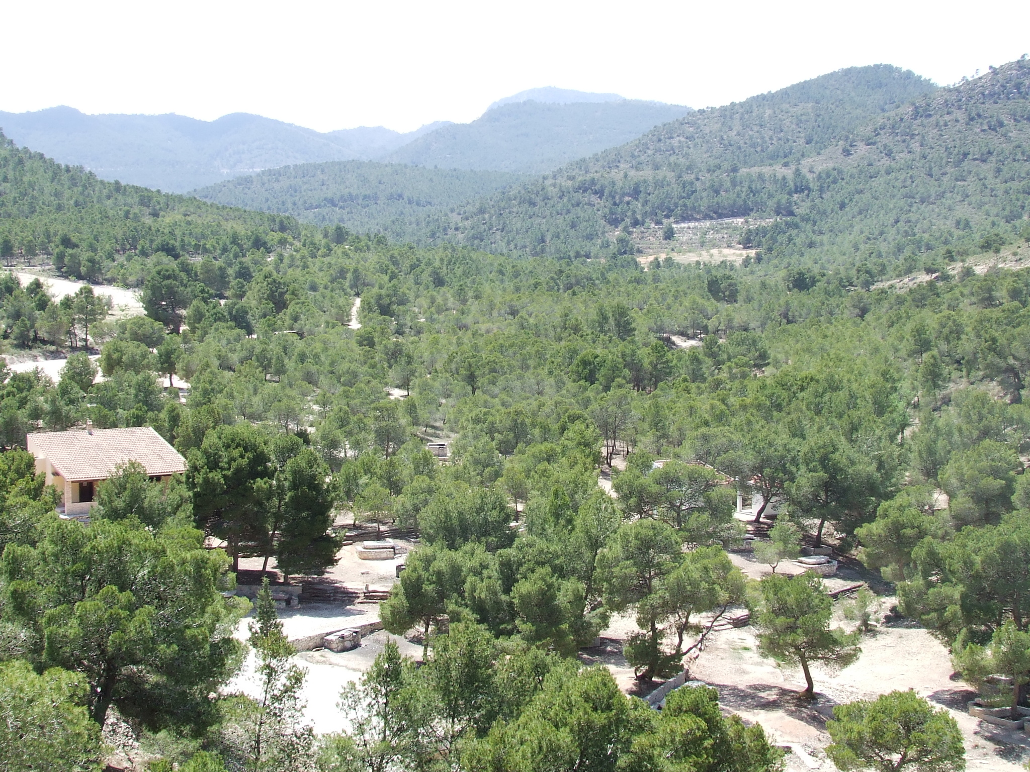 Área recreativa Fuente La Higuera en la Sierra de la Pila.