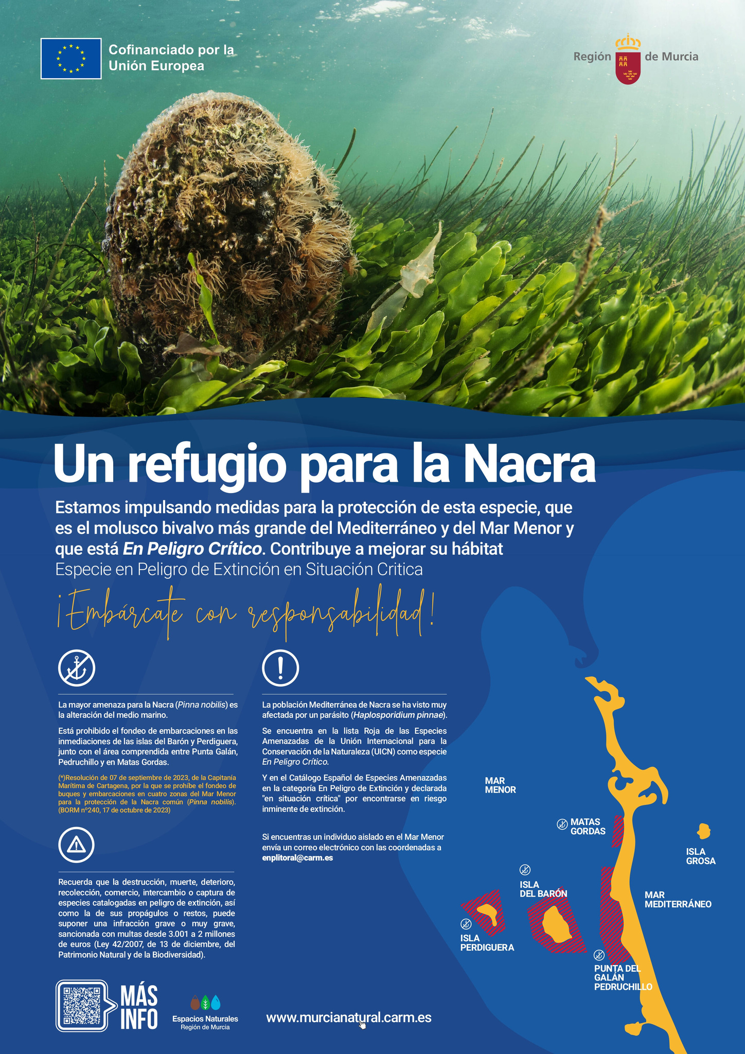 Cartel de la campaña de protección de la nacra.