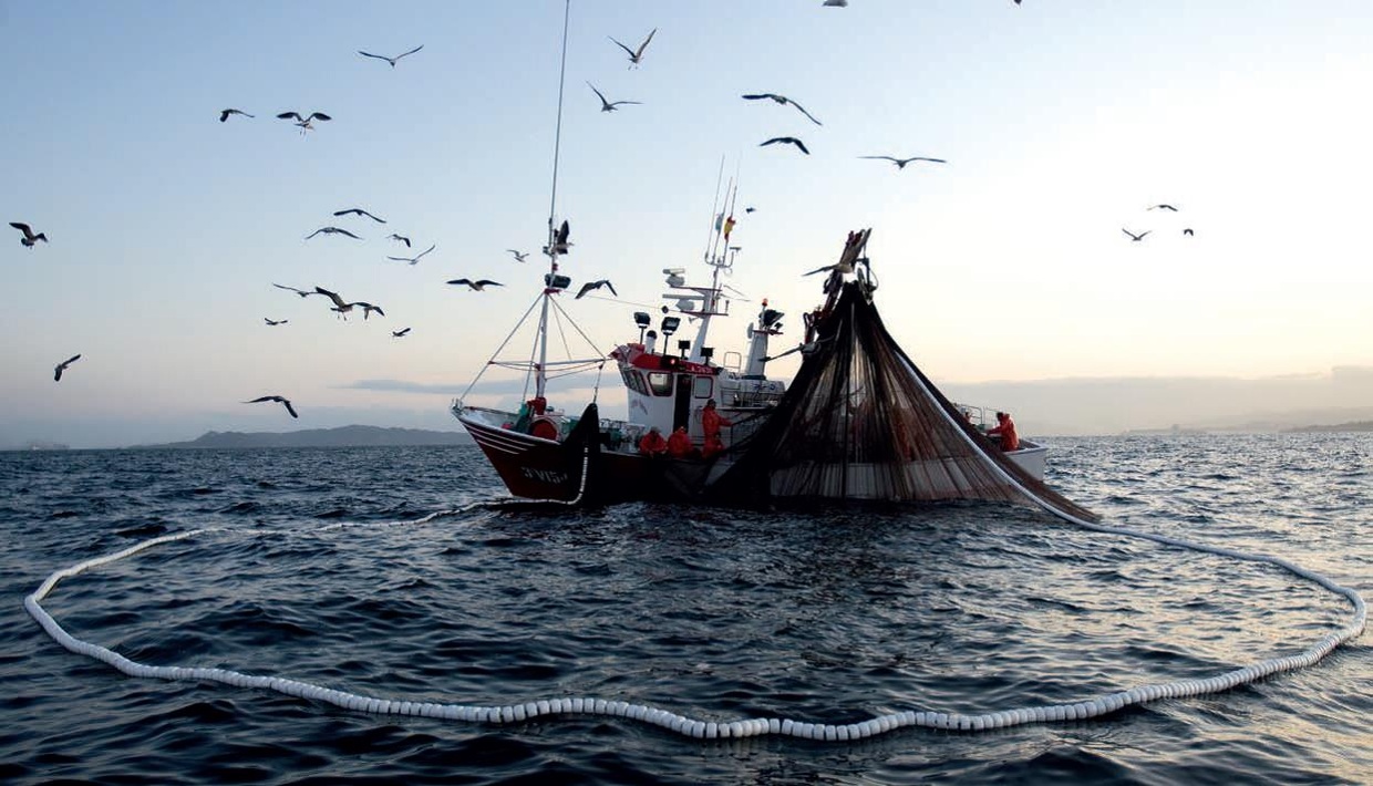 Imagen de una embarcación realizando labores de pesca de cerco