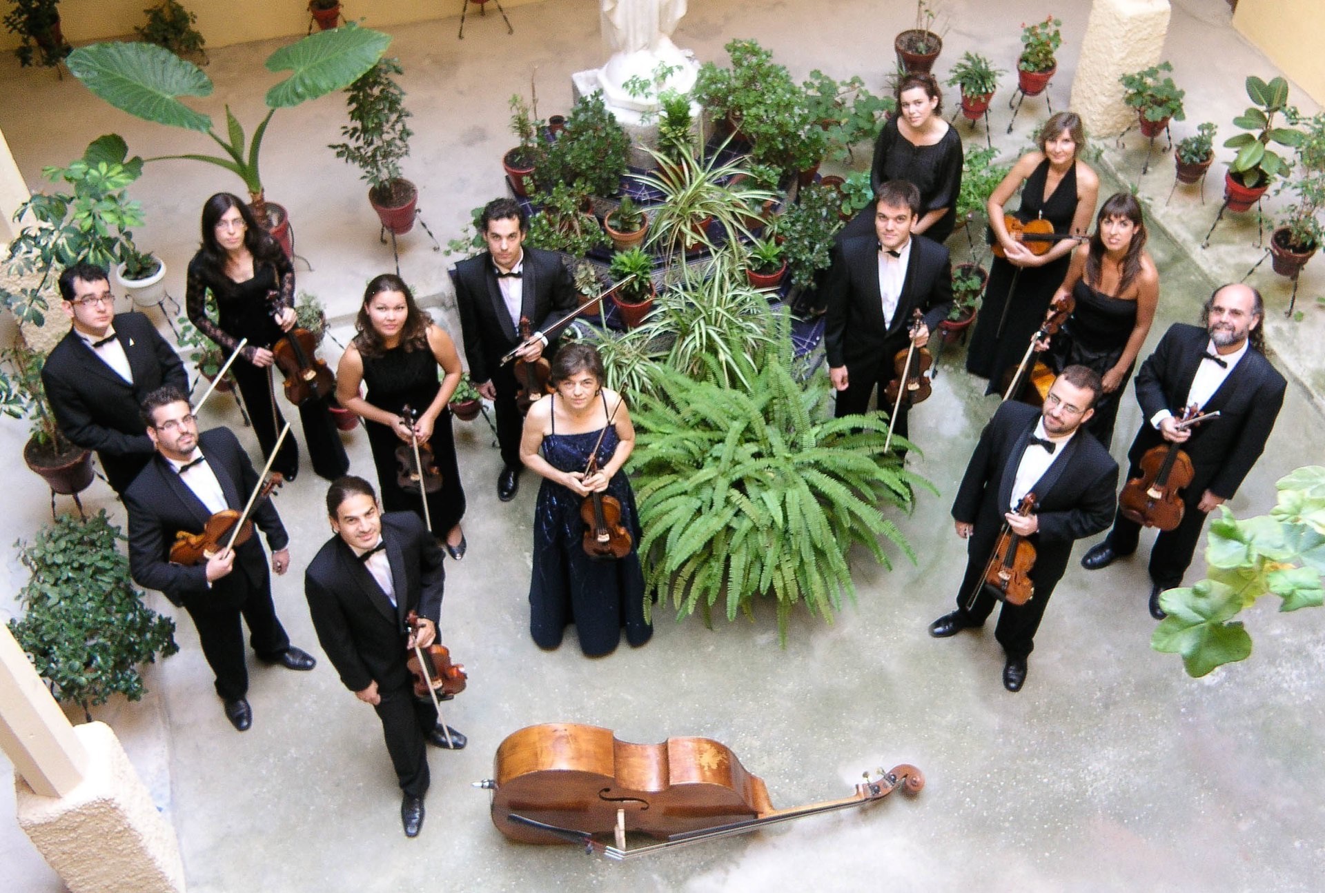 Los músicos de Il Concerto Accademico subirán el lunes al escenario del Auditorio regional de Murcia