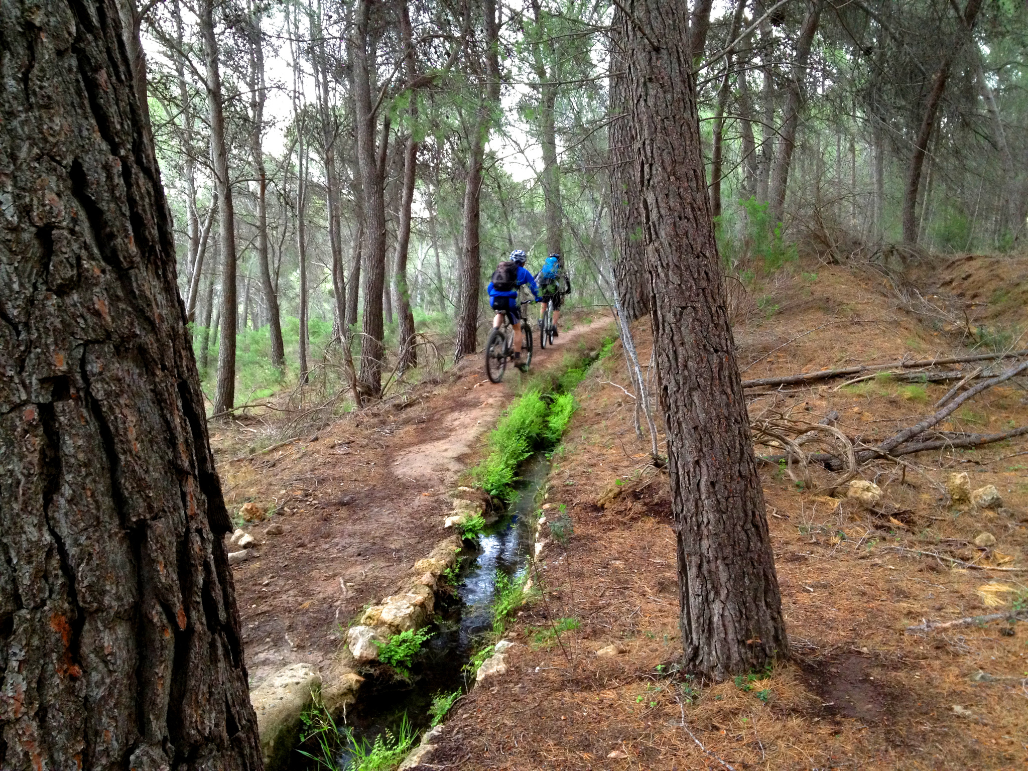 Ruta Espubike en Sierra Espuña (autor: Andrés García)