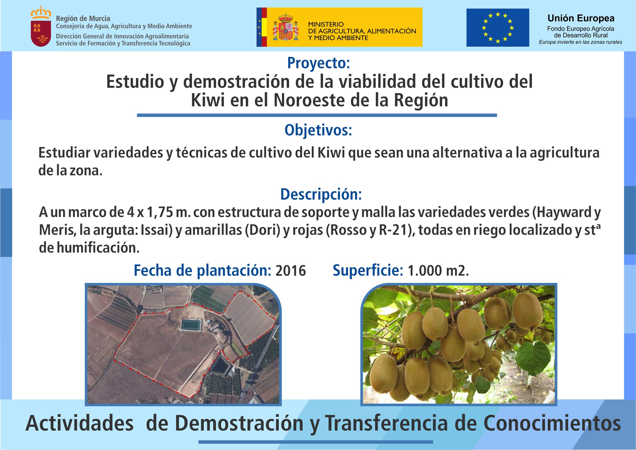 Cartel Fincas Kiwi