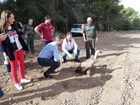 Liberado el quinto ejemplar de buitre leonado de este año tras ser atendido en el Centro de Recuperación de Fauna Silvestre (y 2)