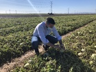 El consejero de Agricultura visita la zona más afectada por el granizo del lunes y cifra los daños en más de 7 millones de euros