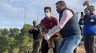 La Comunidad libera dos búhos reales en El Valle tras someterse a rehabilitación en el Centro de Recuperación de Fauna