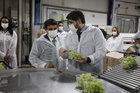 López Miras inaugura las nuevas instalaciones de Frutas Torero (2)