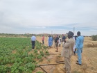 Empresario de tecnología agrícola de la Región visitaron zonas de producción en Mauritania, en una misión comercial e institucional organizada por...
