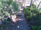 Sendero Umbría del Río.