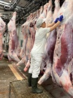 Toma de muestras realizada por el Servicio de Seguridad Alimentaria y Zoonosis de la Consejería de Salud (2)