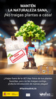 Poster Campaña Plant Health 4Life 2024