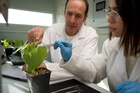 Imagen del catedrático de filosofía de la ciencia en la Universidad de Murcia Paco Calvo durante el rodaje de 'La conexión verde'