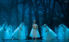 Imagen de ¿Giselle¿ del Ballet de Barcelona realizada por Alba Muriel