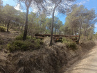 Proyecto para la mejora del hábitat en la ZEC y ZEPA de la Sierra de Ricote y La Navela (2)