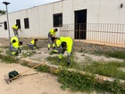Alumnado realizando las prácticas formativas del Programa Mixto Empleo-Formación en el Parque Regional de Las Salinas y Arenales