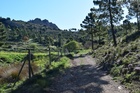 Zona de Los Tornajos en Lorca, donde se lleva a cabo el proyecto de rehabilitación de caminos forestales en los montes públicos.
