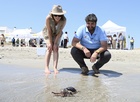 El presidente del Gobierno regional, Fernando López Miras, participó hoy en la suelta de 30 ejemplares de tortuga boba en la Playa Ensenada del Esparto, en el kilómetro 15 de La Manga.