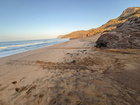 Rastro dejado por la tortuga boba que anidó esta madrugada en Calblanque (2)