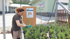 Trabajos del proyecto europeo Flora Local para la Restauración Ecológica (FLoRE) llevados a cabo en el Centro de Conservación de Flora Silvestre ...