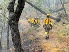 Brigadas forestales actuando hoy en el incendio de Jarilla, en el sector Valle del Jerte, en Tornavacas.