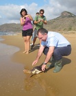 Liberación de dos tortugas bobas en el Parque Regional de Calblanque 1