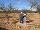 Ayudas para asesoramiento de explotaciones agrarias (1)