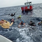 Primera liberación de una tortuga verde en la Región (3)