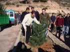 Replantación de árboles de Navidad en El Valle (1)