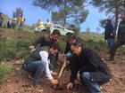 La Consejería de Cultura se suma a la plantada de árboles organizada con motivo del Festival WAM
