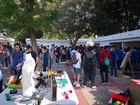 Campus de la ingeniería (II)