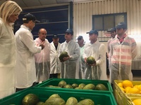 El consejero Miguel Ángel del  Amor durante su visita a la cooperativa Gregal