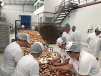 Las empresas de panadería de la Región exportan a 40 países del mundo y aumentan sus ventas un 38 por ciento