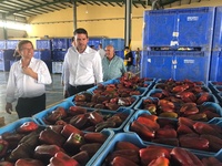 Antonio Luengo visita las instalaciones del mercado agrícola de San Javier