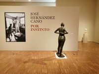El Museo de Bellas Artes de Murcia acoge desde hoy la exposición 'Por instinto. José Hernández Cano'