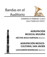 Imagen del cartel del concierto del ciclo 'Bandas en el Auditorio' de este domingo